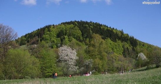 Rajd Elmot 2008 - zdjęcia