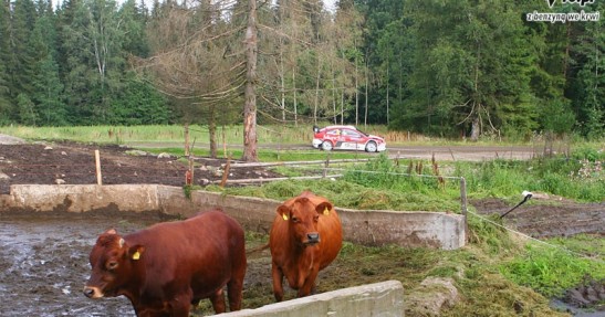 Rajd Finlandii 2007 - zdjęcia - galeria