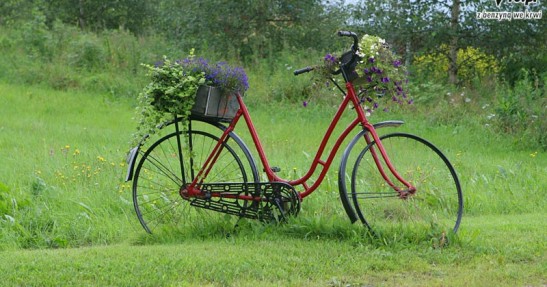 Rajd Finlandii 2007 - zdjęcia - galeria
