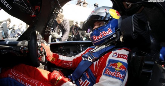 Loeb i Sarrazin na torze Paul Ricard