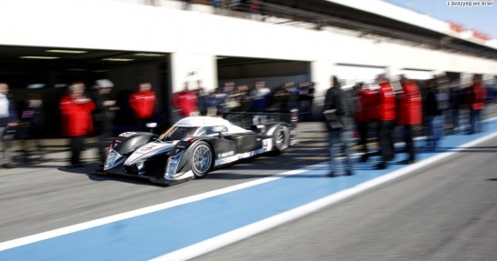 Loeb i Sarrazin na torze Paul Ricard