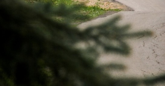 I Rajd o Puchar Burmistrza Świątnik Górnych