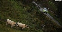 rajd irlandii zdjęcia rajd irlandii zdjęcia