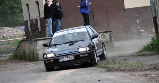 43. Lew Kłodzki