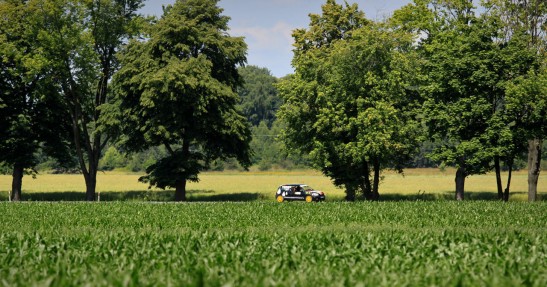 Rally Mińsk Mazowiecki 2015