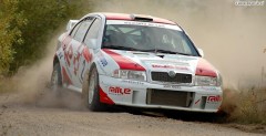 rallye lausitz, lausitz cup