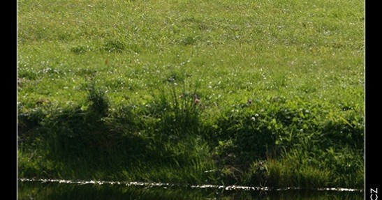 Rajd Orlen 2007 - zdjęcia