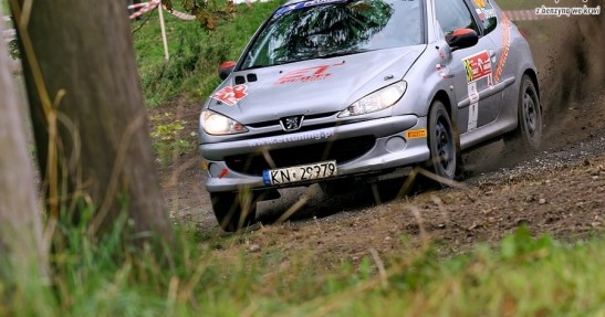 Rajd Orlen 2008