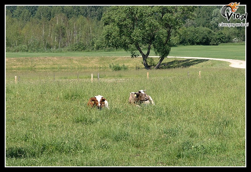 64. Rajd Polski 2007 - galeria - zdjcia