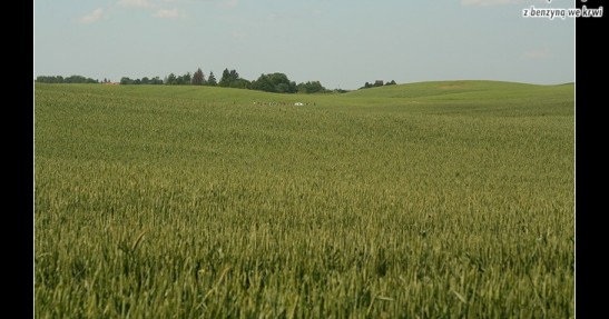 64. Rajd Polski 2007 - galeria - zdjęcia