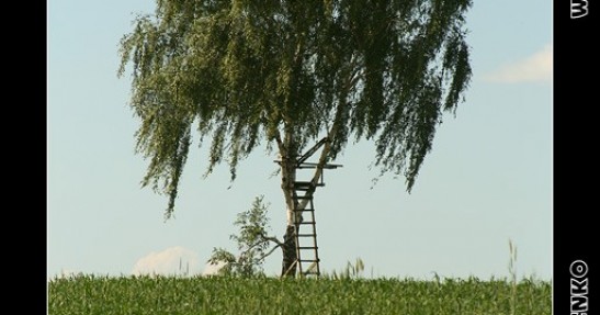 64. Rajd Polski 2007 - galeria - zdjęcia