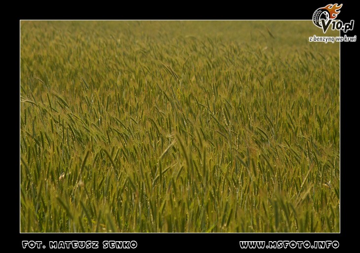 64. Rajd Polski 2007 - galeria - zdjcia