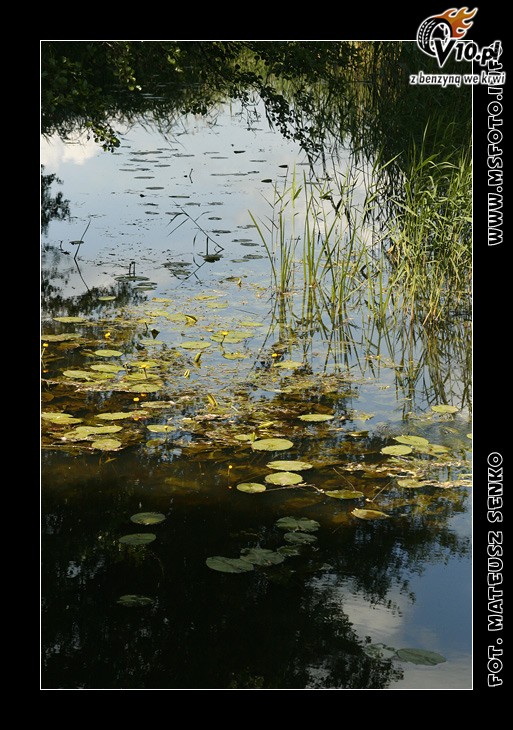 64. Rajd Polski 2007 - galeria - zdjcia