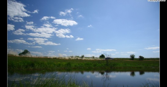 Rajd Polski 2008