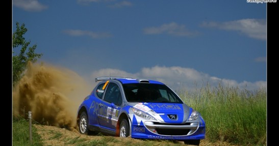 Rajd Polski 2008