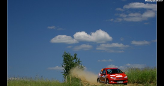 Rajd Polski 2008