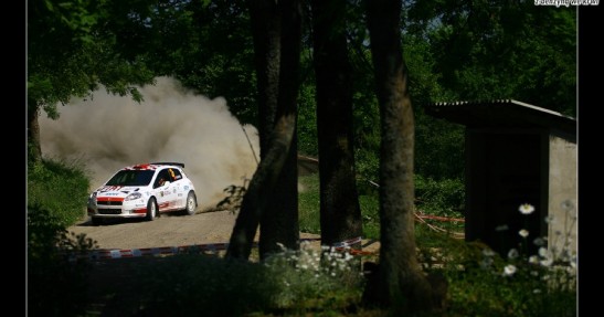 Rajd Polski 2008