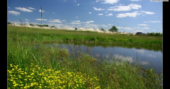 Rajd Polski 2008
