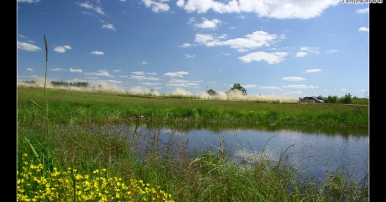 Rajd Polski 2008