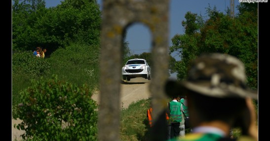 Rajd Polski 2008