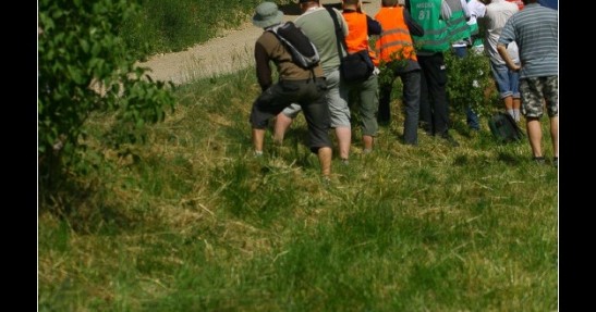 Rajd Polski 2008