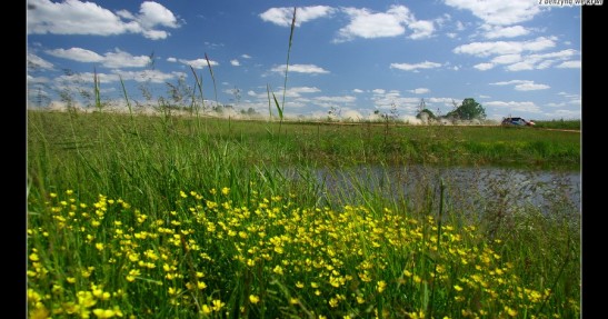 Rajd Polski 2008