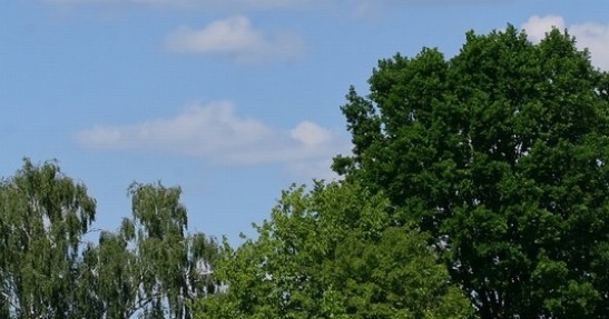 Rajd Polski  zdjęcia