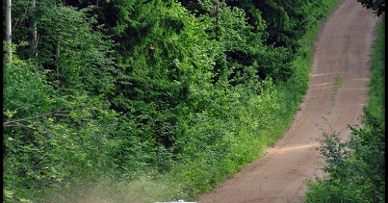 Rajd Polski 2009