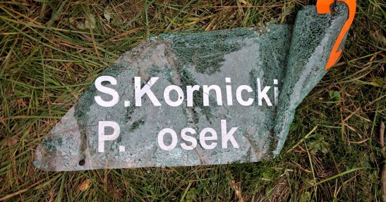Rajd Polski 2013