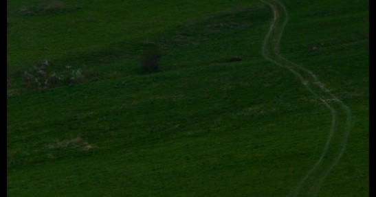 Rally Presov 2011 w obiektywie Michała Kopka
