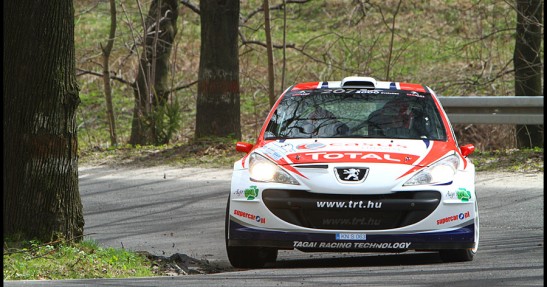 Rajd Świdnicki 2011 (RSMP) w obiektywie Mateusza Banasia