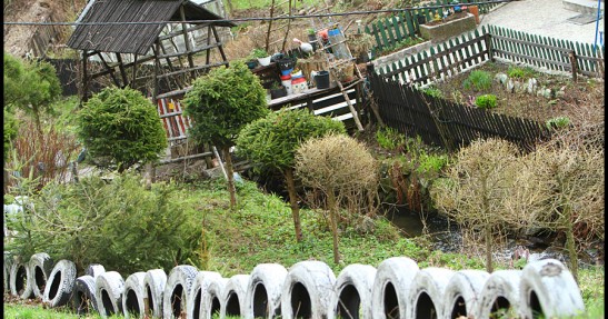 Rajd Świdnicki 2011 (RSMP) w obiektywie Mateusza Banasia
