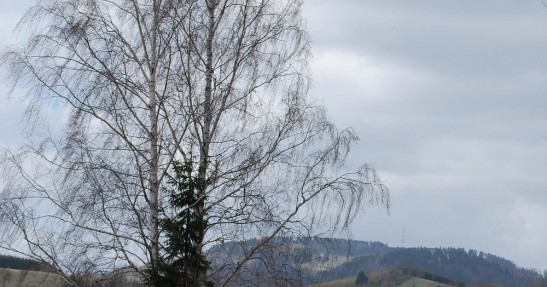 Rajd Świdnicki 2011 w obiektywie Tomasza Płoszaja