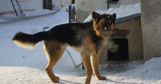 Testy Andreasa Aignera przed Rajdem Monte Carlo 2011 w obiektywie Ewy Manasterskiej