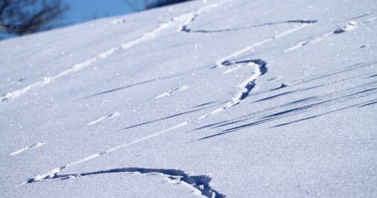 Testy Andreasa Aignera przed Rajdem Monte Carlo 2011 w obiektywie Macieja Niechwiadowicza
