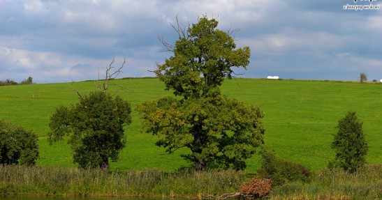 Rajd Wisły 2007 - zdjęcia III