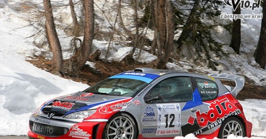 37th Rally Valle d'Aosta 2007