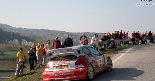 rally alba
