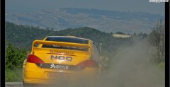 Rally di Alba 2007