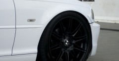 BMW E46Fest 2010