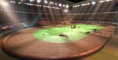 FIM Speedway Grand Prix 15