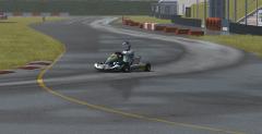 Kart Racing Pro