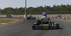 Kart Racing Pro