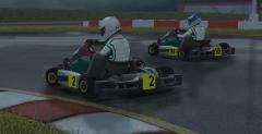 Kart Racing Pro