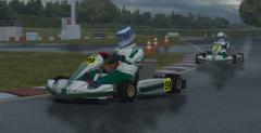 Kart Racing Pro