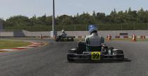Kart Racing Pro