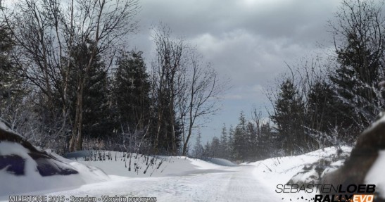 Sebastien Loeb Rally Evo