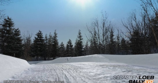 Sebastien Loeb Rally Evo