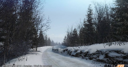 Sebastien Loeb Rally Evo