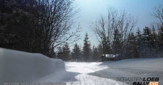 Sebastien Loeb Rally Evo